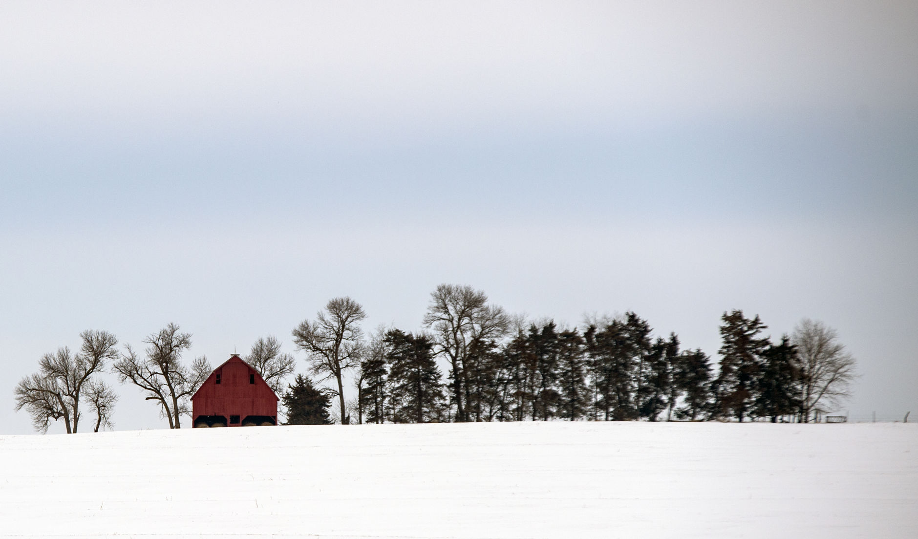 Snowy barn